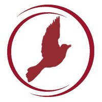 Cardiff OrnithSoc(@CUBirds) 's Twitter Profileg