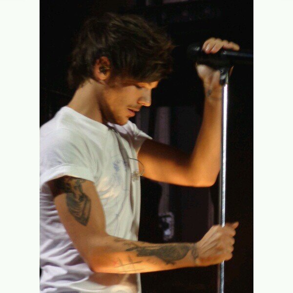 @louisftkitten