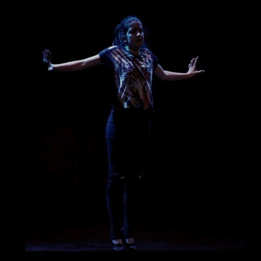 Have a dream, follow it. Will you do something, do it. Can you DANCE, DO IT!