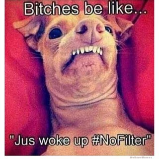 Shiloh_Minott10's profile picture. Reddio