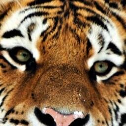 legigii's profile picture. 