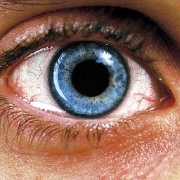 Celui qui se transforme en bête se délivre de la douleur d'être un homme.