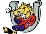 Barrie Colts, OHL, CHL fan.