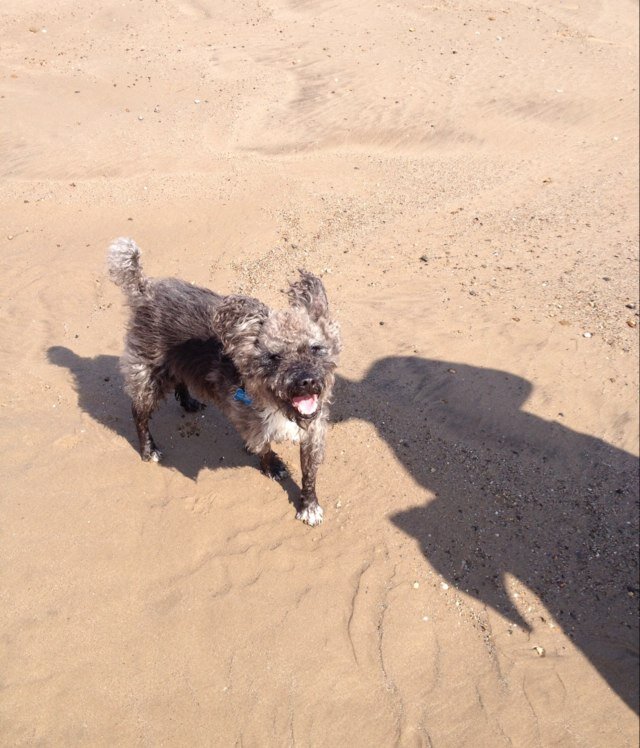 martinannieball's profile picture. Love the life you live