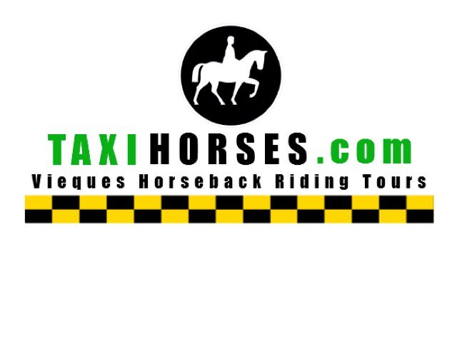 Beach Horseback Riding (787-206-0122)