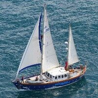Celtic Mist (@iwdgcelticmist) 's Twitter Profile
