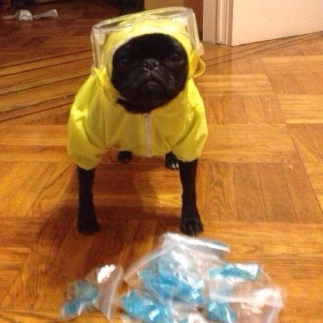 toethumbsup's profile picture. 