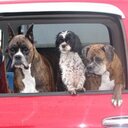 Elliot Joseph Boland - @elliotboland - Twitter