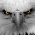 mohammed haider (@decentkiller222) Twitter profile photo