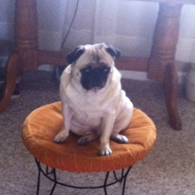 NancyMa77513082's profile picture. 