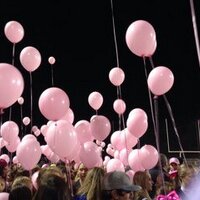 HVA Cheerleading (@hvacheer) 's Twitter Profile