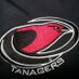 VermillionGirlsBball (@ladytanagers) Twitter profile photo