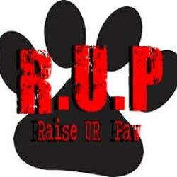 RAISE UR PAW -a Canadian Federally incorporated Not For Profit, dedicated 2 help animals, end animal abuse/cruelty & promote awareness. RAISING UP PAWS