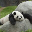 Elsa Heredia - @ElsiHeredia - Twitter