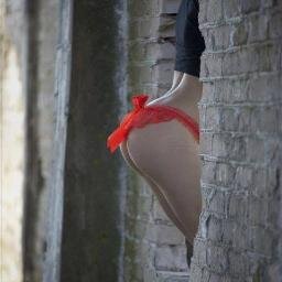 Darkhorse8844's profile picture. how do we find what's real ..