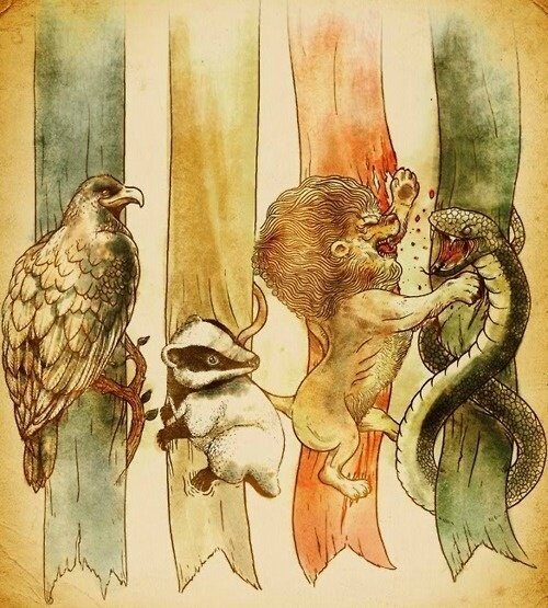 new fanbase for harry potter fans. share, quiz, game, etc. Open sorhat? cek fav. follback? just mention
