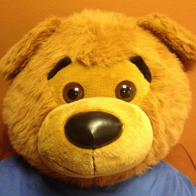 Bearkrant's profile picture. Musings of a prince, a philosopher, a friend, a Birnkranter. #BetaKappaQuattro