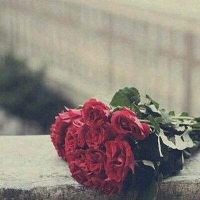 فراشة On Twitter خواطر عن الورد اجمد الخواطر عن الورد Https T Co Synknd4wow