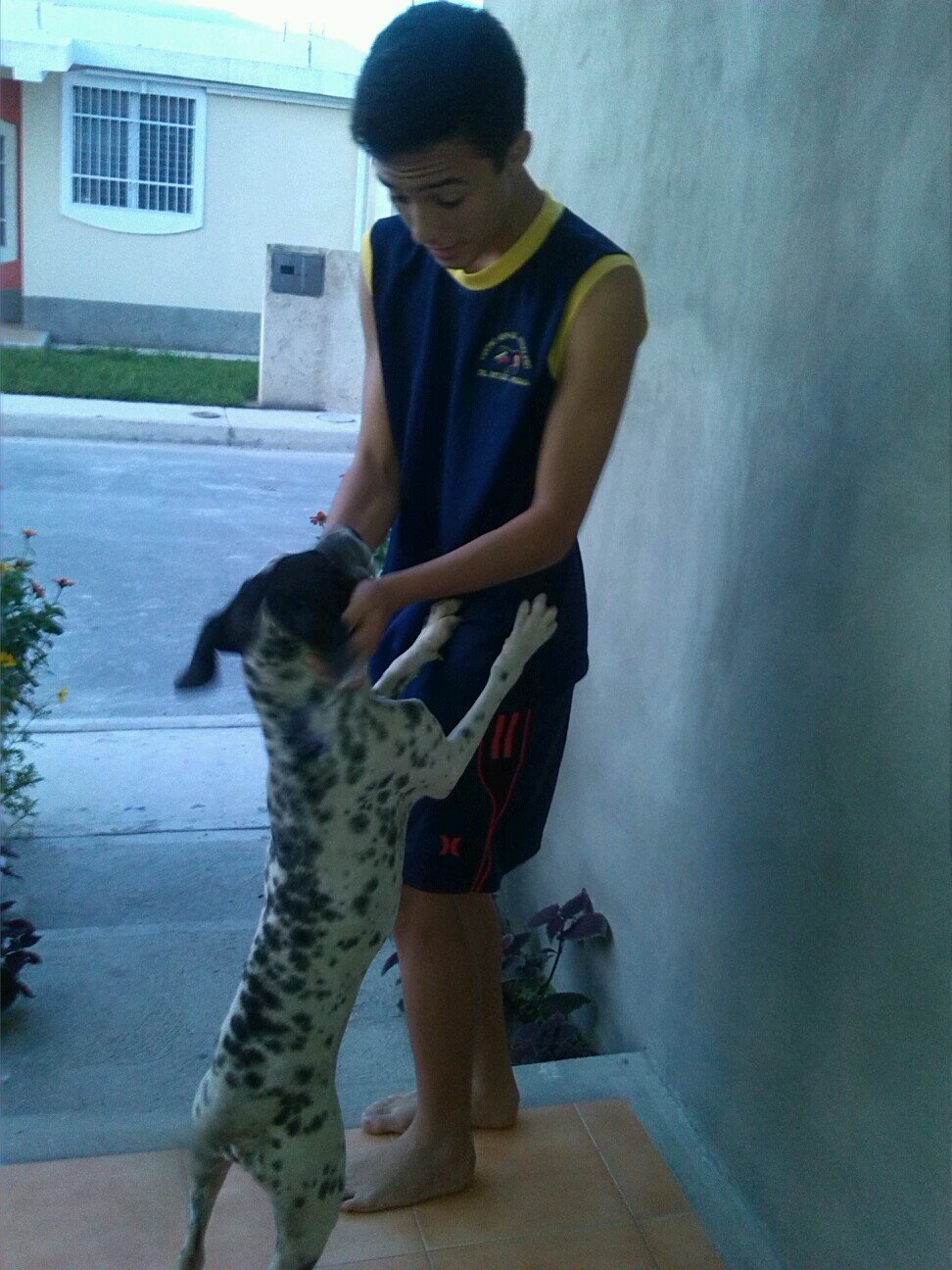 Skate;futbolista;Dibujador;Me sigues te sigo.