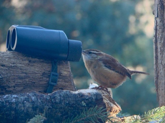 Engineer, golfer, birder, Red Sox fan. Curious about how our brains work.