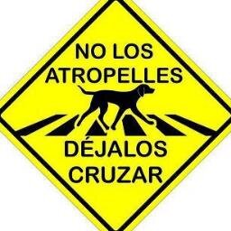 deberíamos odiar menos y amar mas                                                             por un mundo unido contra el maltrato animal *sígueme te espero!!