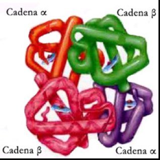 Twitter oficial de los preparadores de la cátedra de Bioquímica, con toda la información que necesitan sobre las preparadurías. Bienvenidos todos!