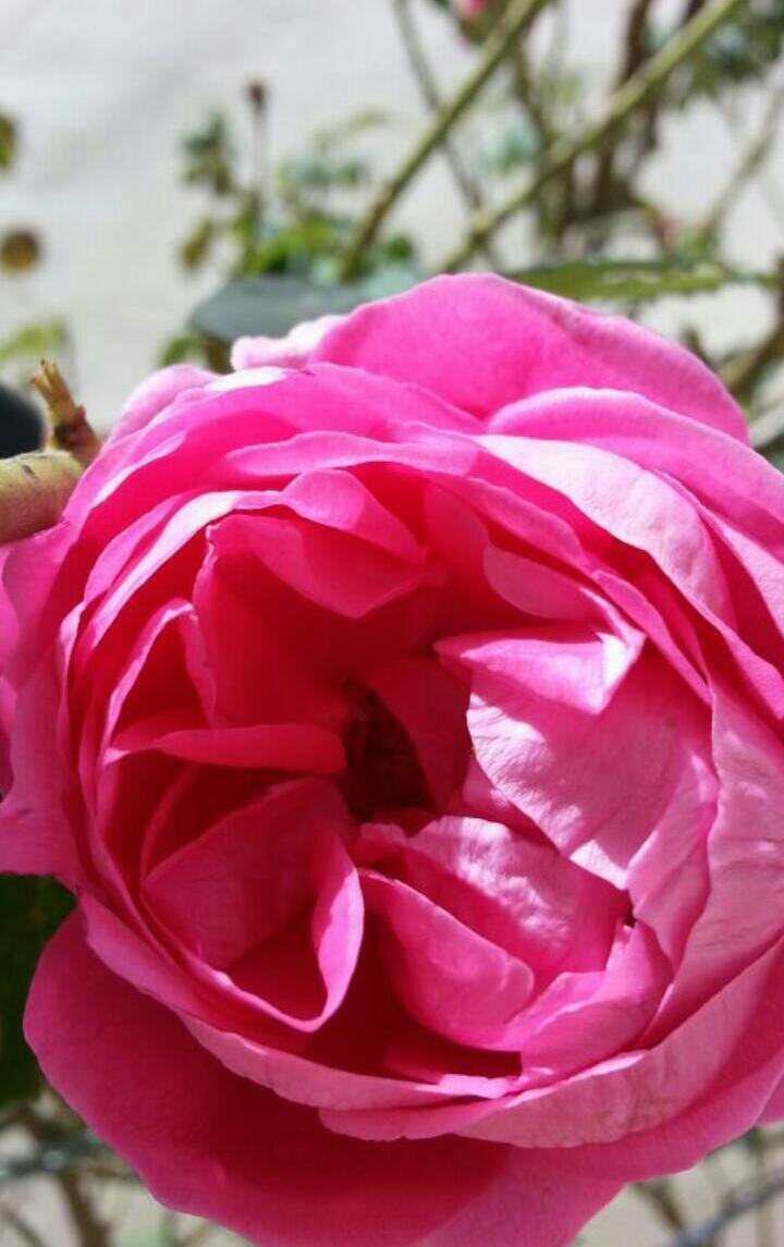 klyamll1's profile picture. 