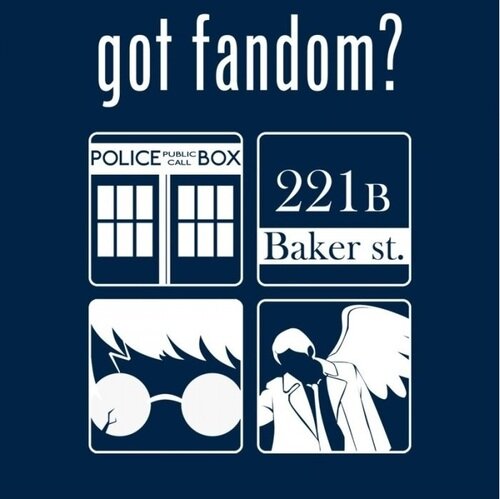 Student, Reader, Friend, FanGirl, BVBArmy, Music Lover, Crazy, PotterHead, Whovian, Sherlockian