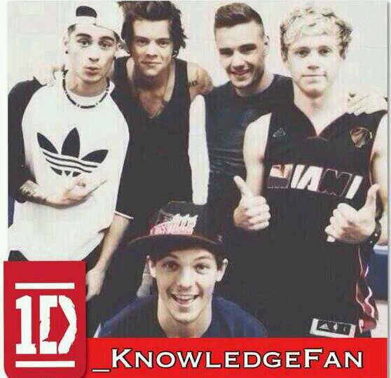 1D_KnowledgeFan's profile picture. Daily Updates and Cool Knowledge on your five favorite boys. #knowledgefan @onedirection