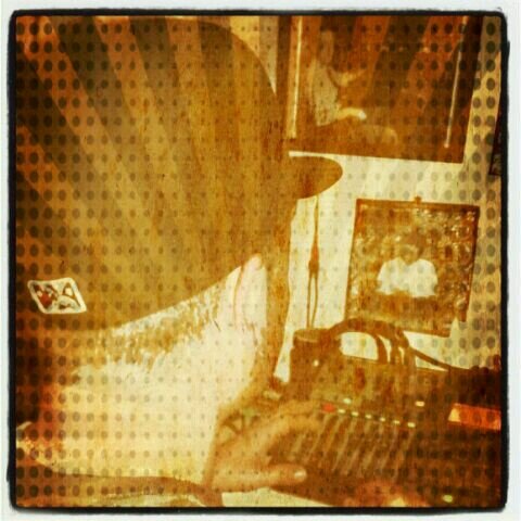 shoseven's profile picture. an entertaning artist/Host,,MC
from indy,,,likes r&b/hiphop/rap/jazz,,Love. God. Family.and you