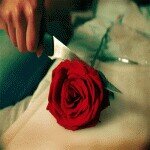 habib_mimi's profile picture. السعوديه