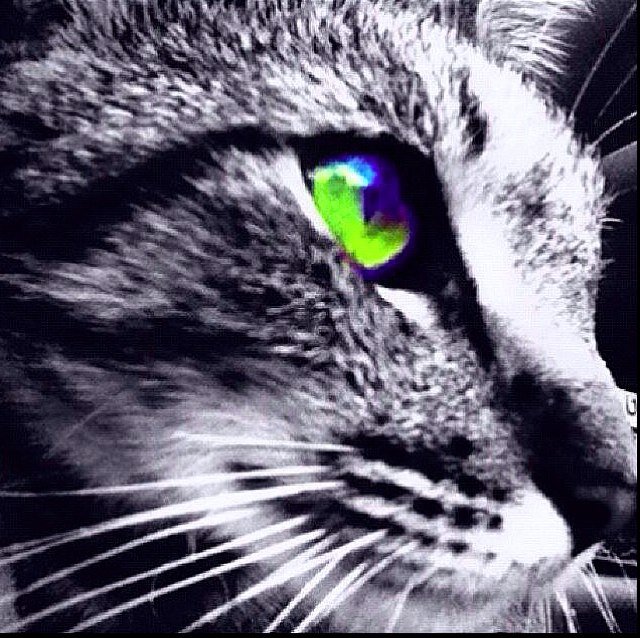 SketchyInSA's profile picture. #SanAntonio #Spurs #Cowboys #Astros