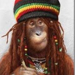 Ni #Dramaqueen ni #Valeverga. Un poco de todo & #PositiveVibration
