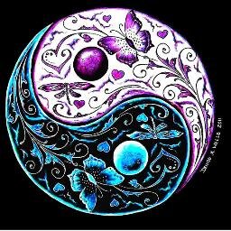 catcity01's profile picture. 