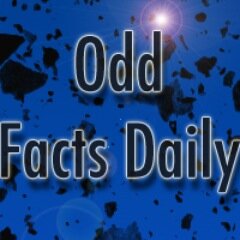 Your source for some of the weirdest facts everyday.