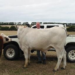 Do a bit of teaching @Chisholm Inst Morn Pen, run a farm accom thing interested in Marine/FW/Terrestrial bio.: Dogs,copious geese,etc and jumping things.