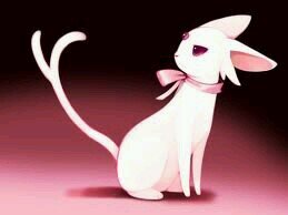 Hi there! I'm Venus! I care about all pokemon! My wonderful mate is @DarknessPoke! I'll love him forever! Paws off ladies!
