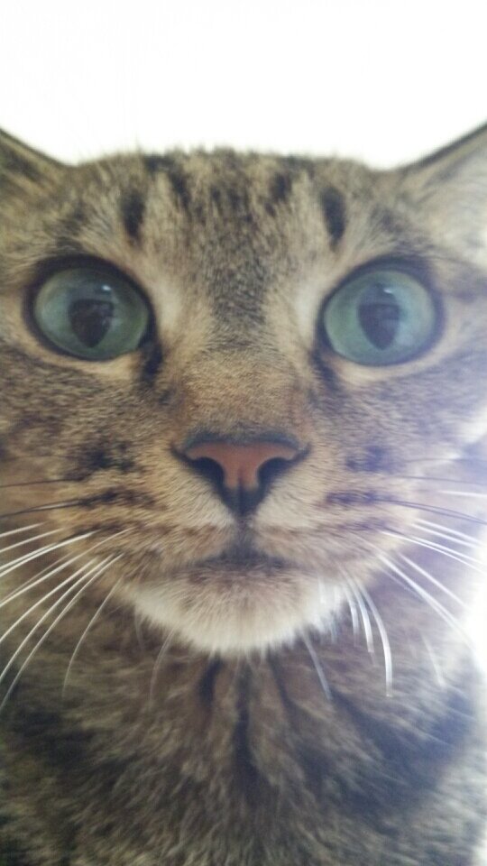 ヨウジヤマモト大好きです