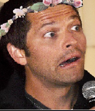 free follow (@sssupernatuural) ily