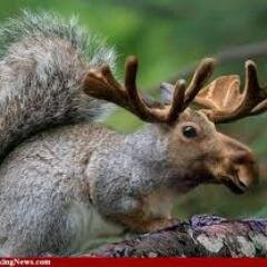 dlapointe's profile picture. 