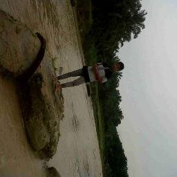 SINGLE WOLES...