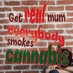 A devastating true story, written to highlight the very real dangers of cannabis addiction. A 'help' book for families. Please read the book and pass it on.