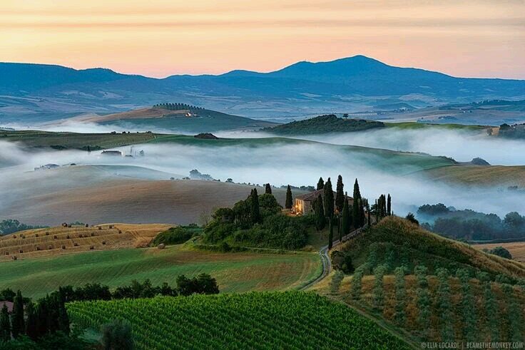 ccy555's profile picture. 