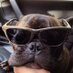Nick Moore (@nickatmoore) Twitter profile photo