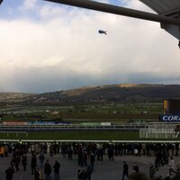 Neil Williams (@neilwillow1510) 's Twitter Profile