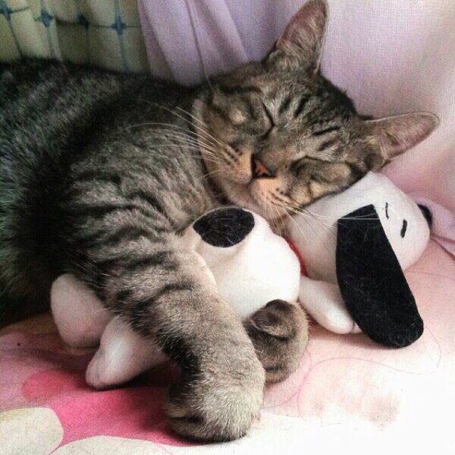 b_sasr's profile picture. 骨中2 follow me??
ONE OK ROCK♡/松田翔太♡/ワンオク専用垢あり←こちらもよろしく‼