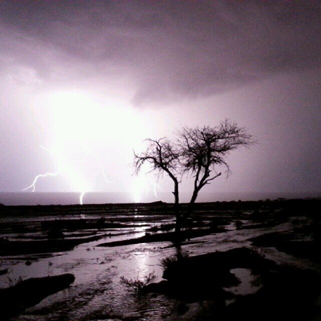 BBM : 5E00084F
