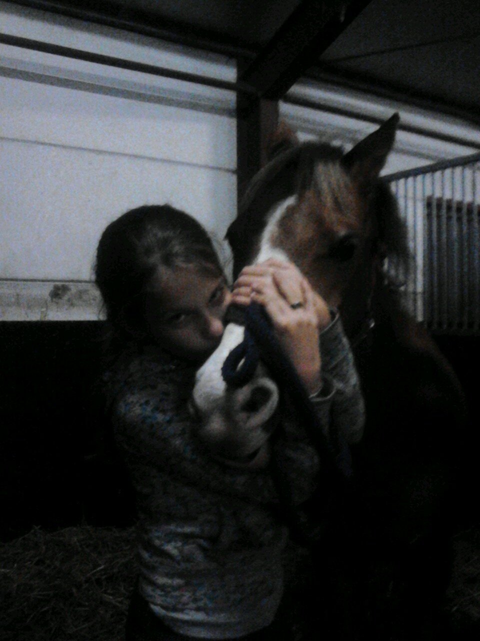 WeHorsForlive's profile picture. Liefde Voor Paarden! ♥♥