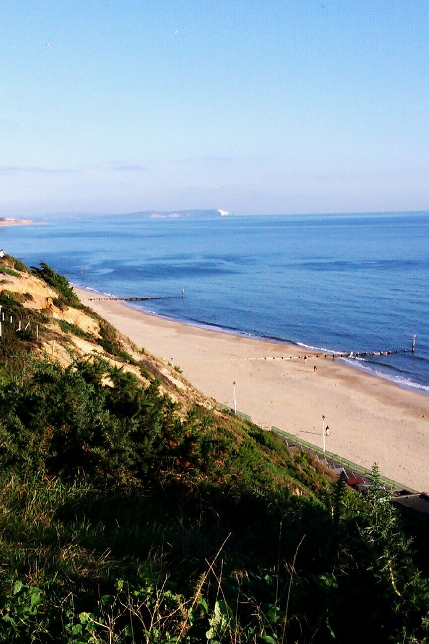 stottieduncan's profile picture. 