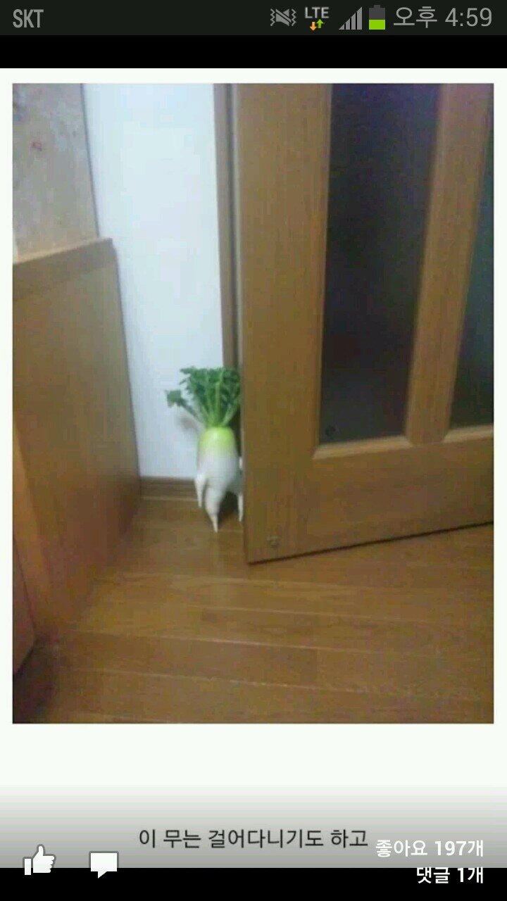 만화가
